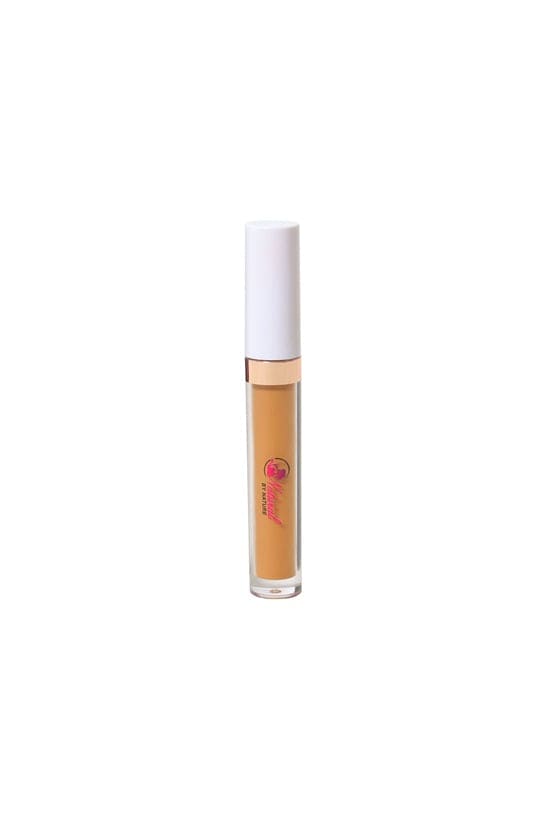 Bottom Hider Concealers