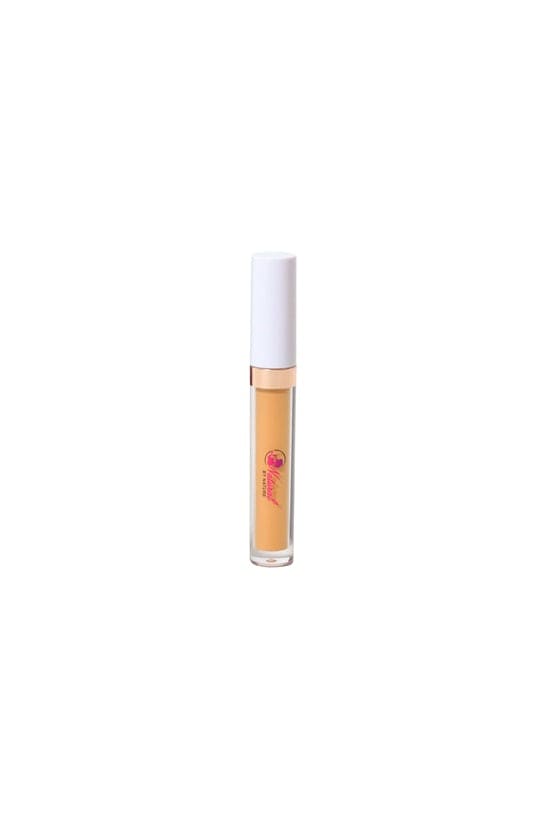 Hide Me Concealers